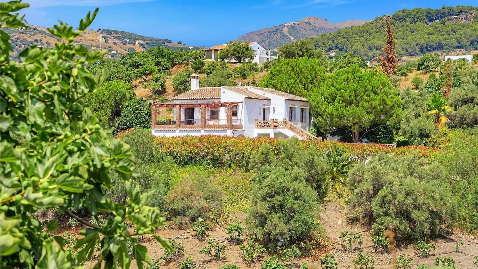 Casa Jorge Villa Frigiliana